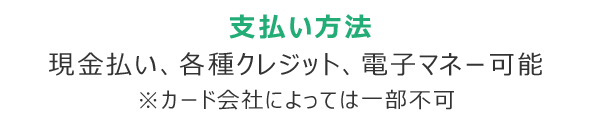 支払い方法 現金払い、各種クレジット、電子マネー可能 カード会社によっては一部不可